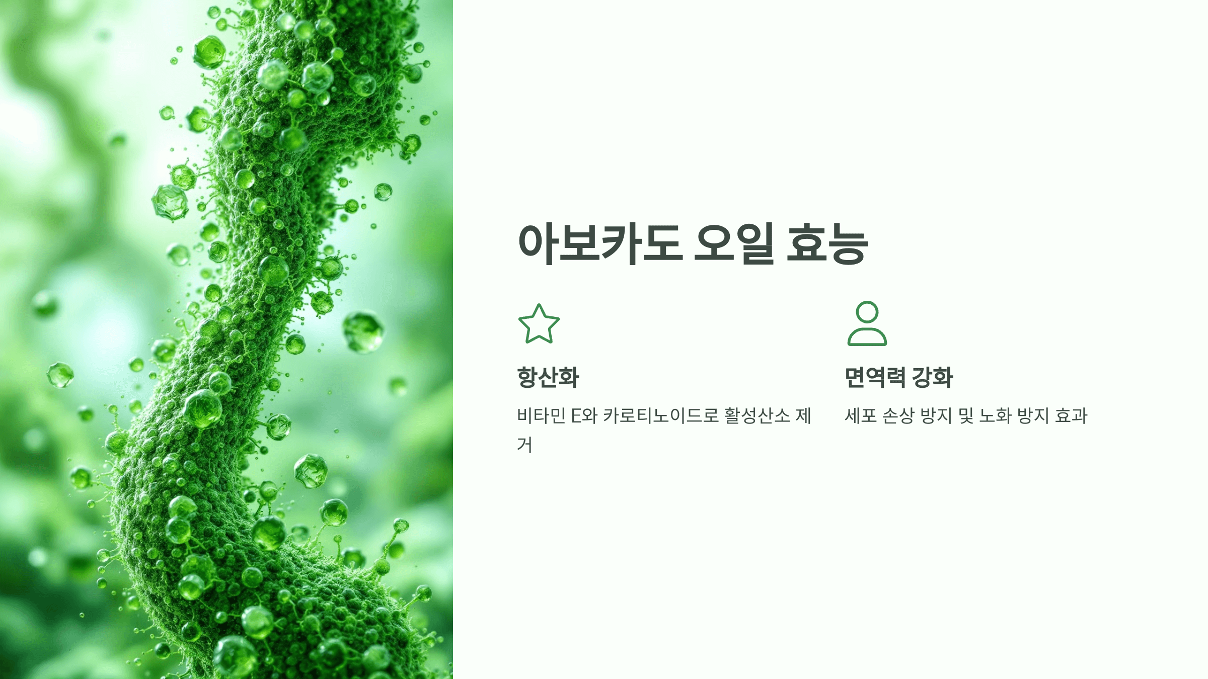 아보카도 오일 사진입니다.