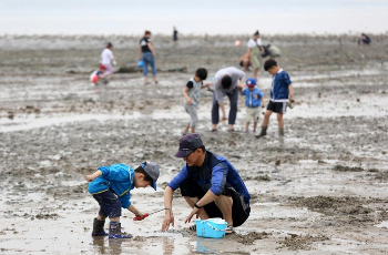 화성 뱃놀이 축제 갯벌체험