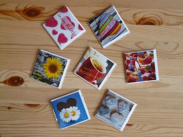 솔로지옥2에 어울리는 사진들