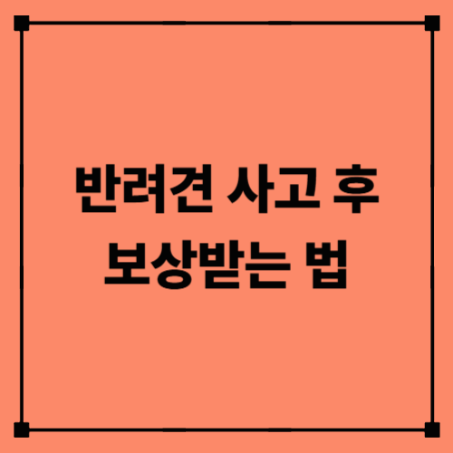 반려견 사고 후 보상받는 법｜교통사고·펫보험·동물병원 과실