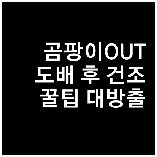 곰팡이 걱정 없이! 도배 후 완벽 건