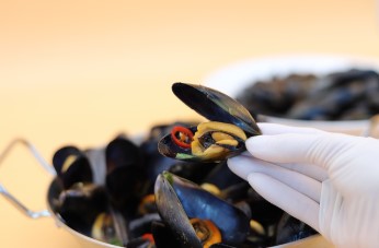 비브리오 패혈증 주의보! &ldquo;덜 익힌 해산물 위험해요&rdquo; 증상과 예방법