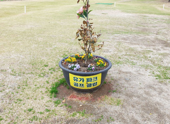 대구 달성군 구지평촌파크골프장 
[현재: 유가한정파크골프장 평촌방면 코스]