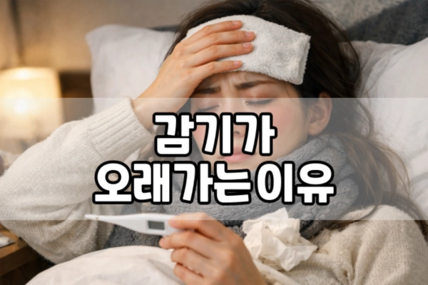 감기가 오래가는 이유