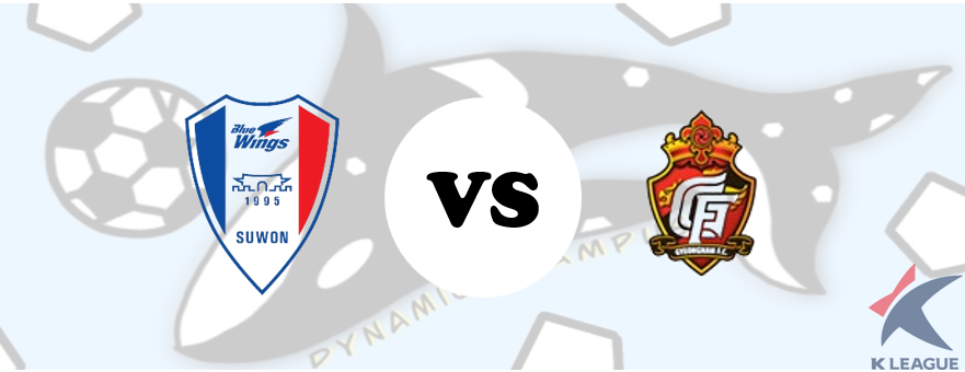 수원삼성 VS 경남