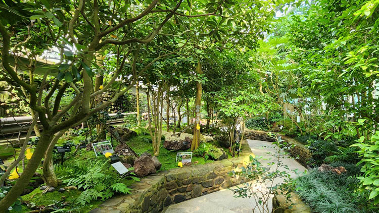 난대온실내부-2