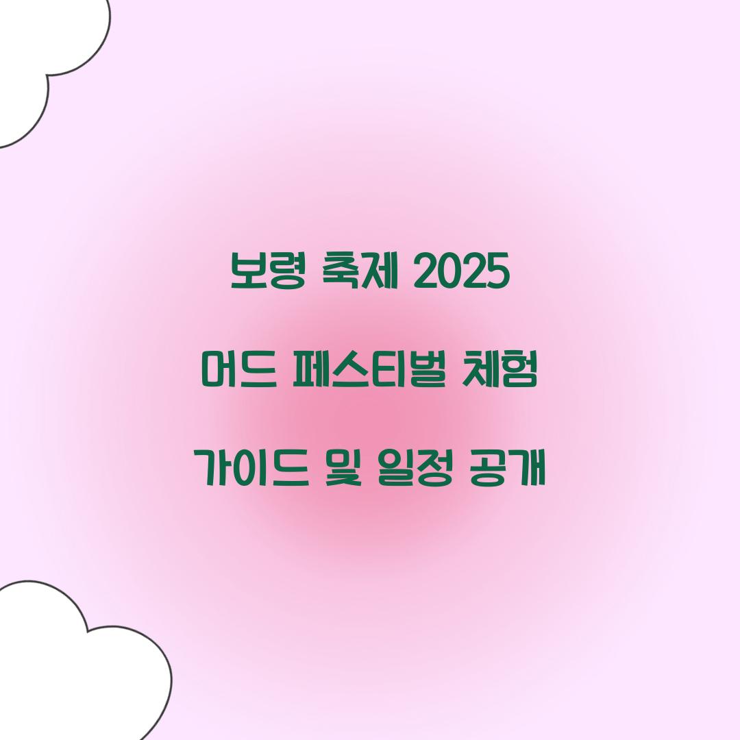 보령 축제 2025 머드 페스티벌