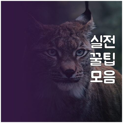 신혼집 꾸미기, 예산 절약과 개성 살..