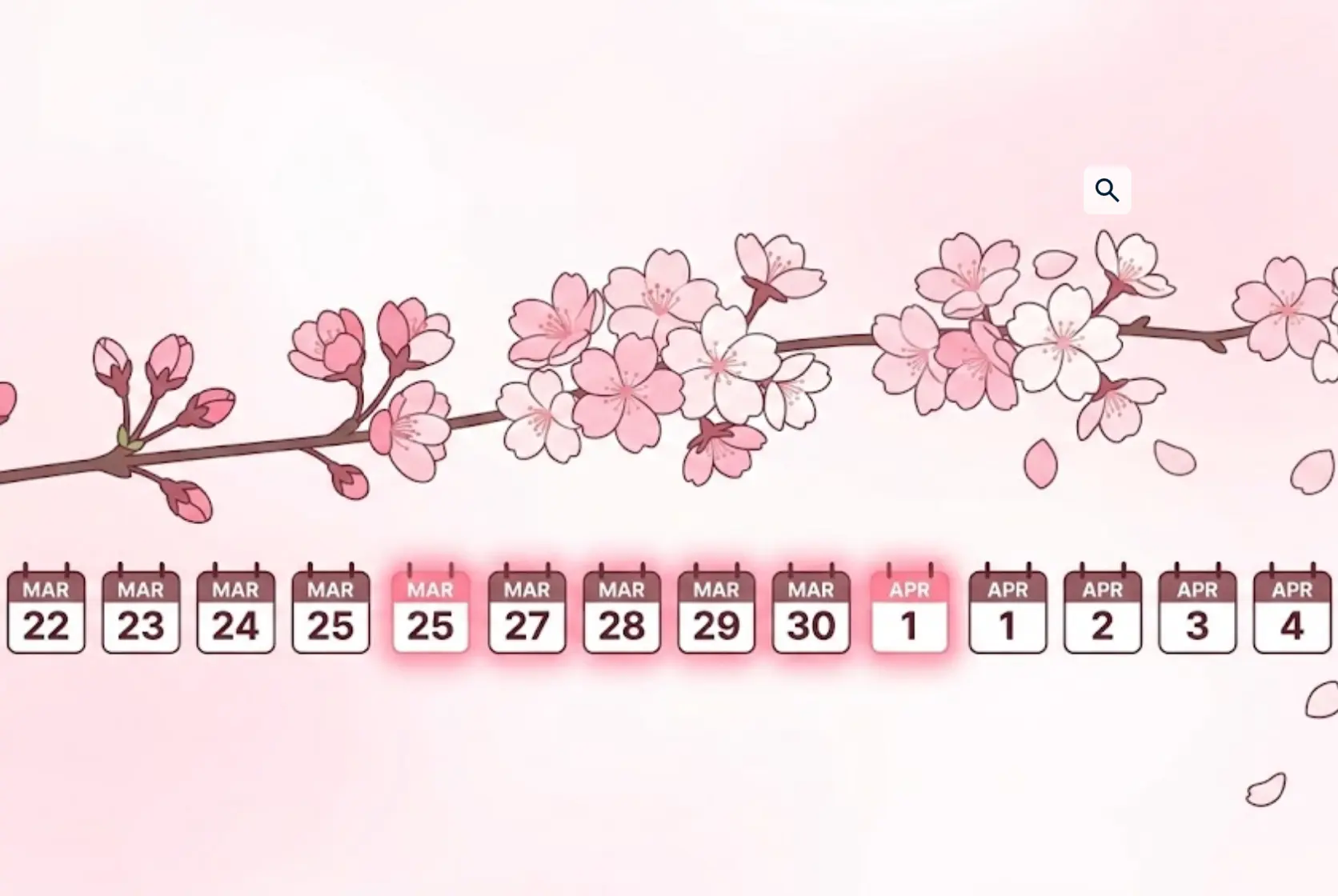 2026 후쿠오카 벚꽃 개화시기 3월 25일 만개 피크