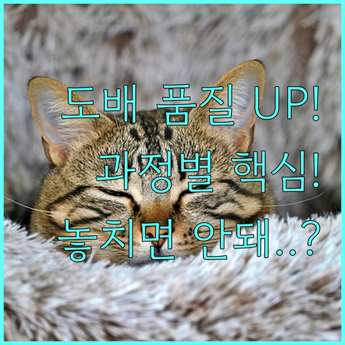 도배 최종 품질 확보를 위한 과정별 ..