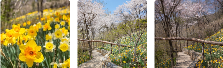 화담숲