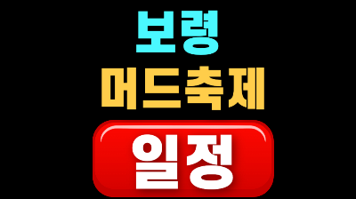 보령 머드축제 일정