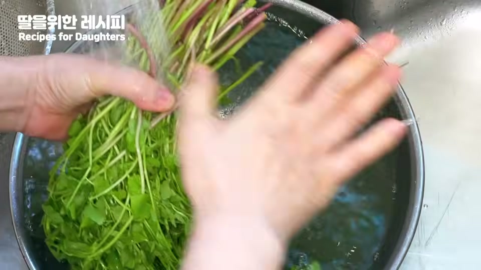미나리를 물에 씻는 장면