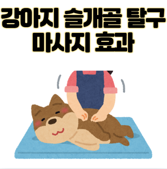 강아지 슬개골 탈구 마사지 효과 있다? 없다? 실제 해본 후기