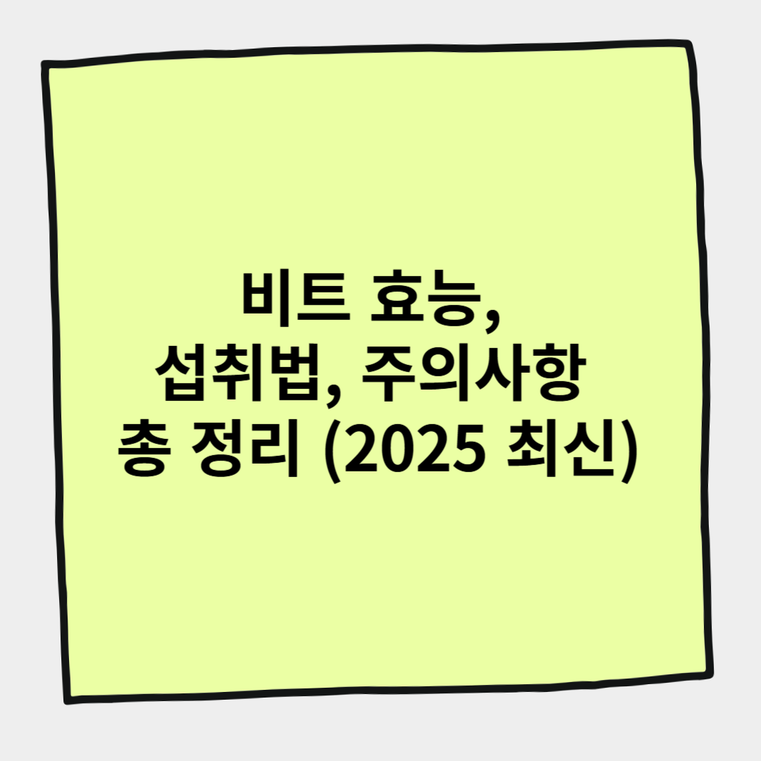 비트 효능, 섭취법, 주의사항 총 정리 (2025 최신)