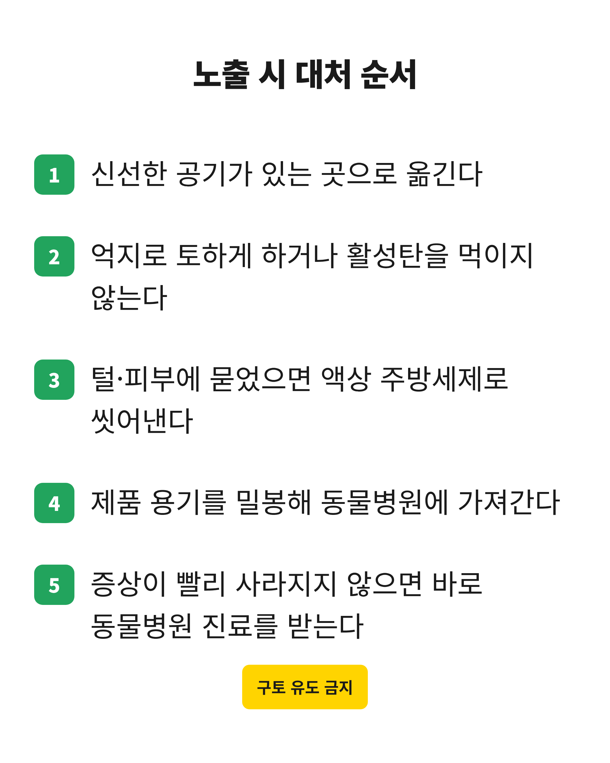 고양이가 디퓨저 오일에 노출됐을 때 환기부터 동물병원 이동까지 다섯 단계 대처 순서