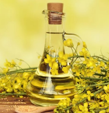 식용유 비교 추천 효능과 부작용 카놀라유