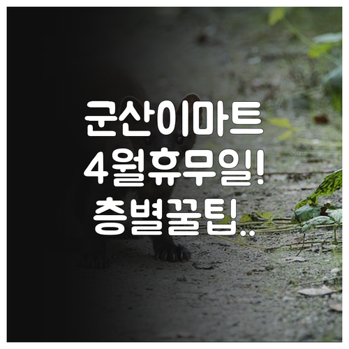 이마트 군산점 4월 영업 일정 및 층..
