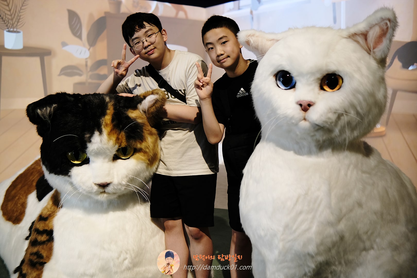 안방을 차지한 고양이