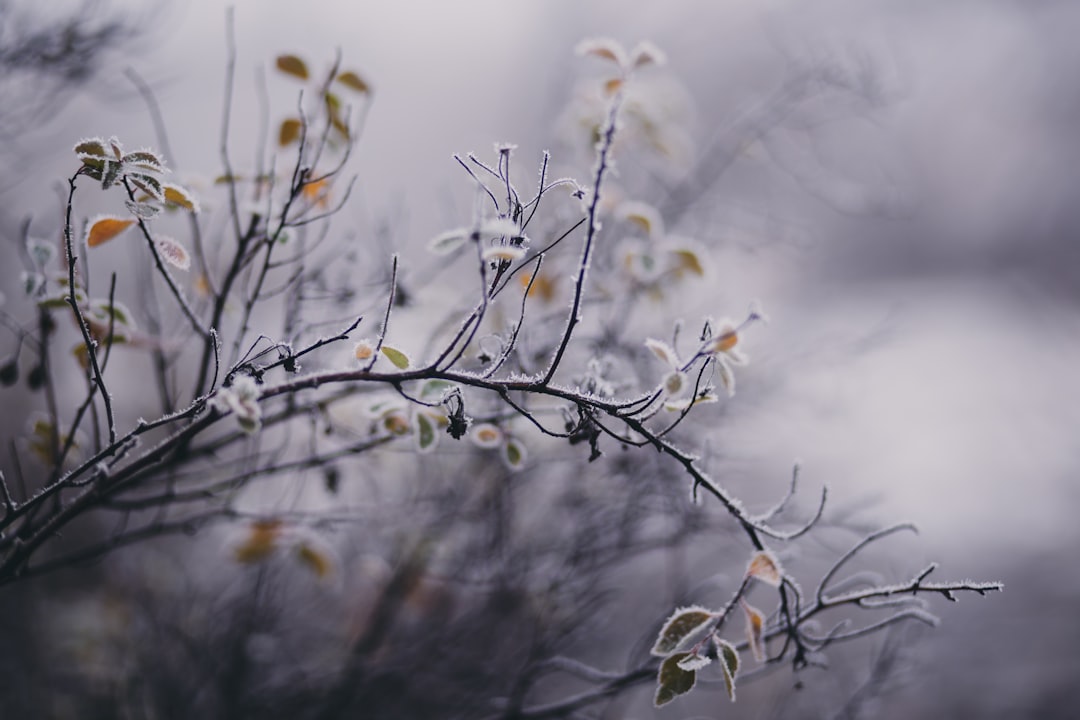January