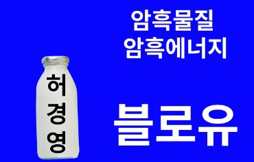 허경영 블로유