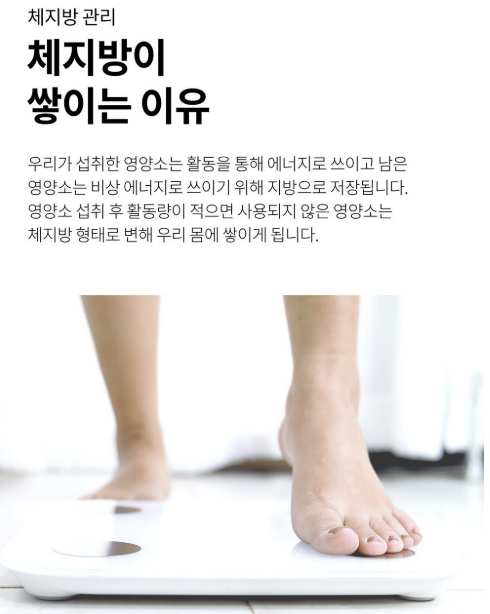BNR17유산균 몸신의탄생 슬로우러닝다이어트 유산균다이어트 장건강 체중관리 4주다이어트 중년다이어트 건강정보 