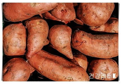 고구마 12
