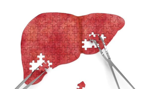 간 피로회복 영양제 추천