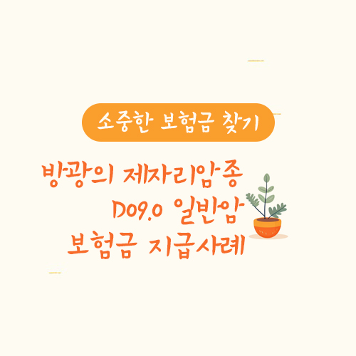 방광의 제자리암종D09.0 일반암 보험금 지급사례