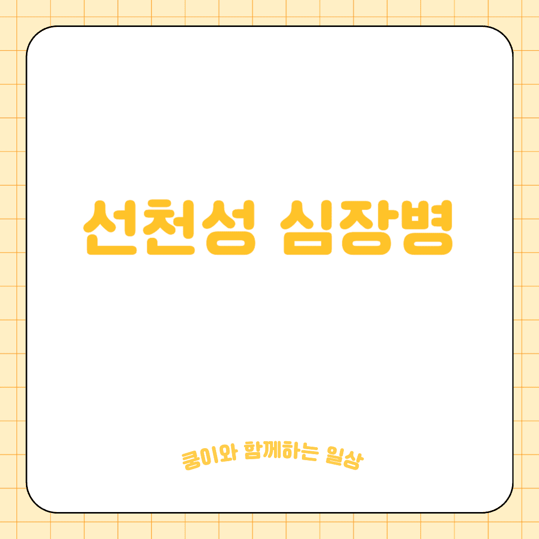 고양이 선천성 심장병