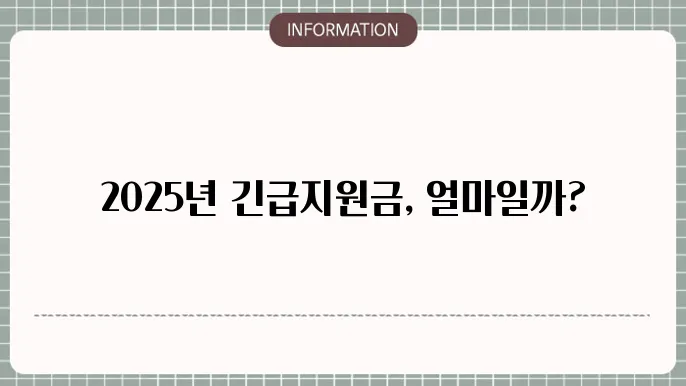 긴급생쓀지원금 금액: 2025년 지원 기준