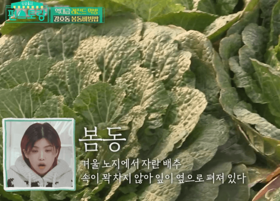 봄동 비빔밥 레시피