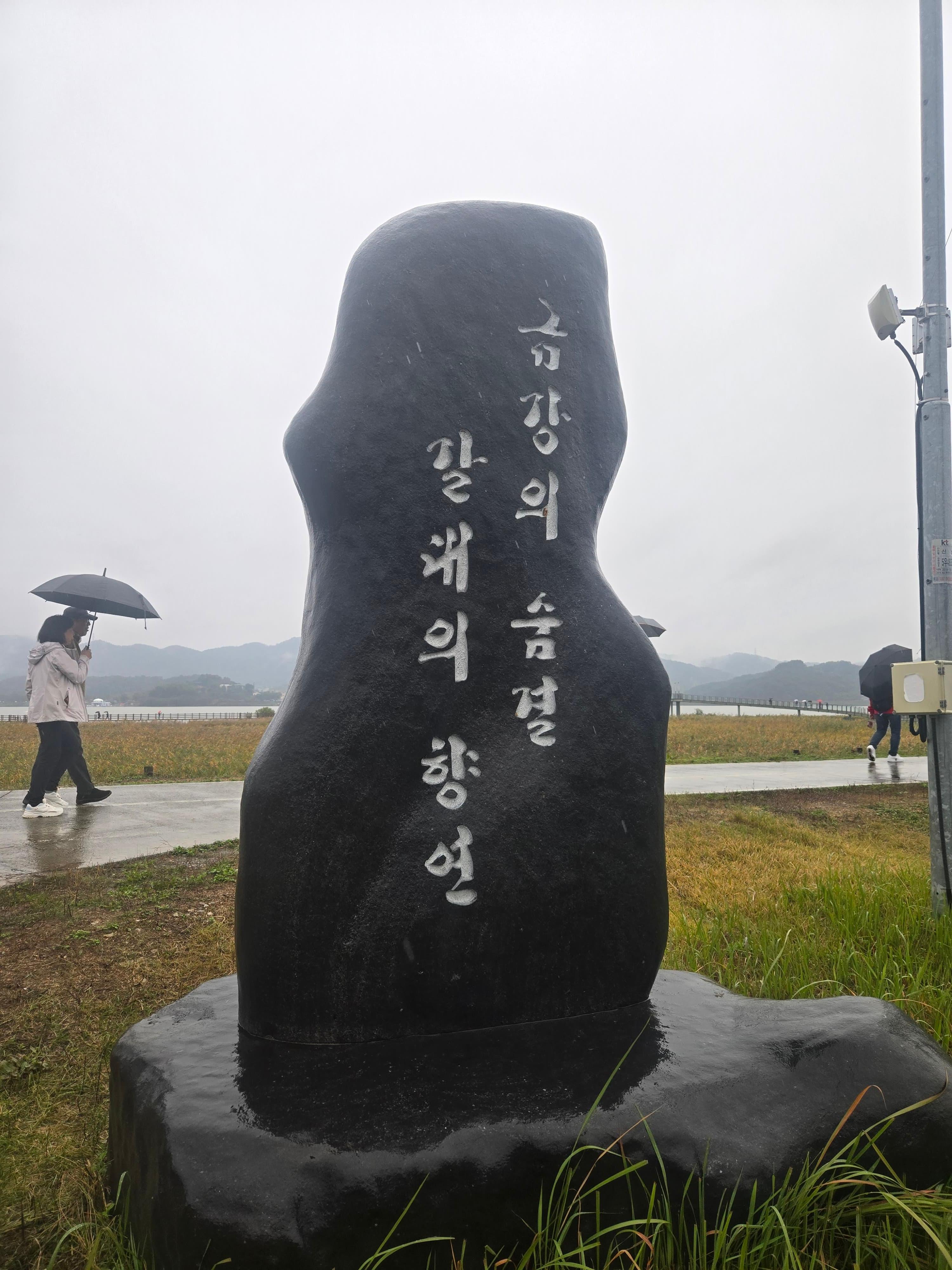 서천 신성리 갈대밭은 금강변을 따라 갈대가 넓게 펼쳐진 곳