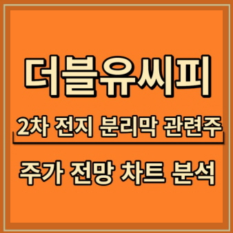 더블유씨피 기업 이미지