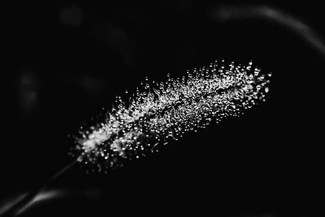 재심 청구 사건에서 ‘허위 진술’ 판명 시 국가배상 가능성