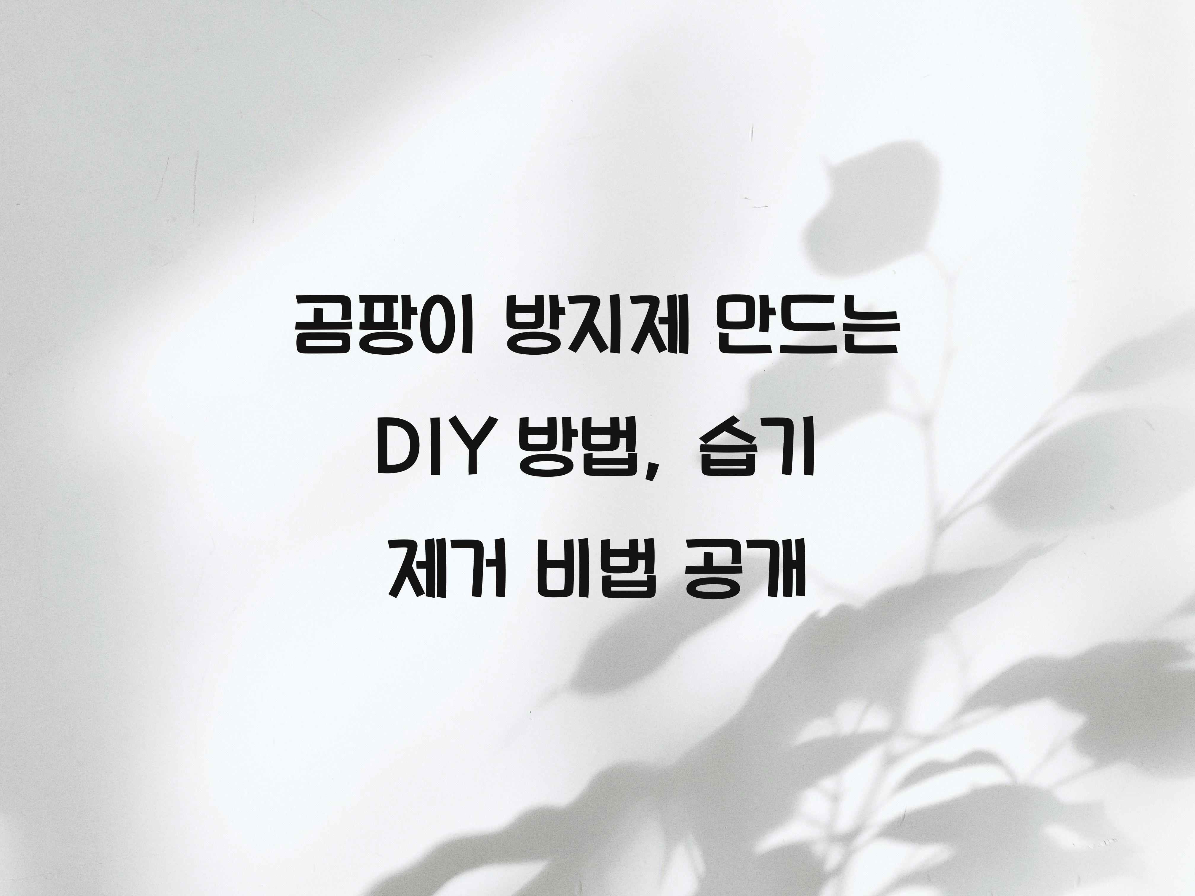 곰팡이 방지제 만드는 DIY 방법