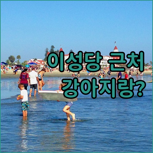 군산 이성당 근처 호텔 추천 및 애견..