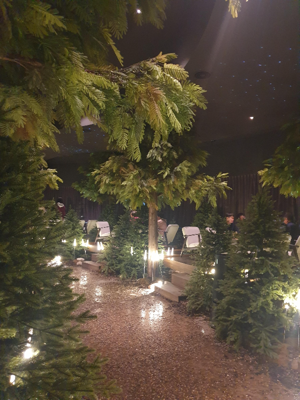 캄캄한 내부의 작은 조명들이 반딧불처럼 보인다. 플렌테리어 인테리어가 숲처럼 되어 있다.