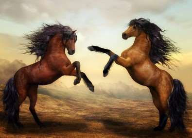 2026년 병오년 신년운세 무료로 보는법