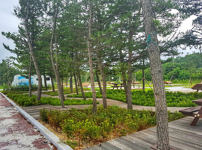 고성군 봉수대오토캠핑장 소개