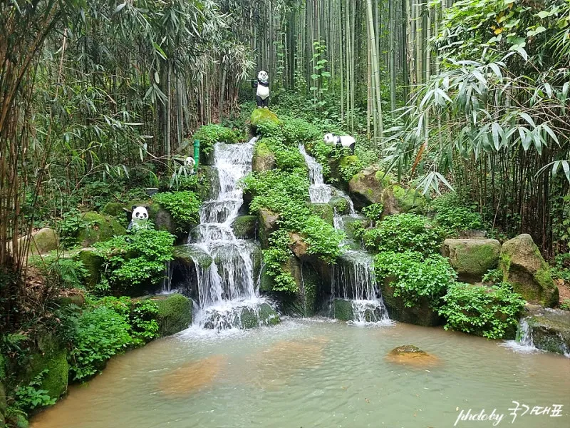 담양 죽녹원 소아르호텔 숙박 맛집_3