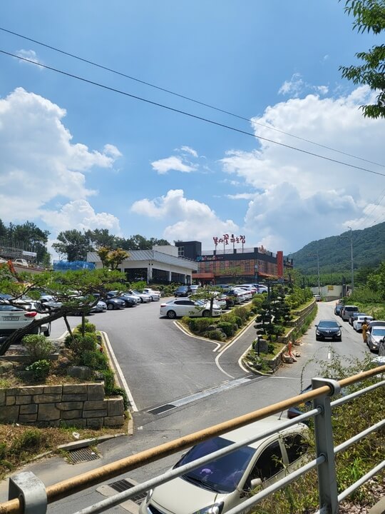 복사꽃피는집 대전점 앞