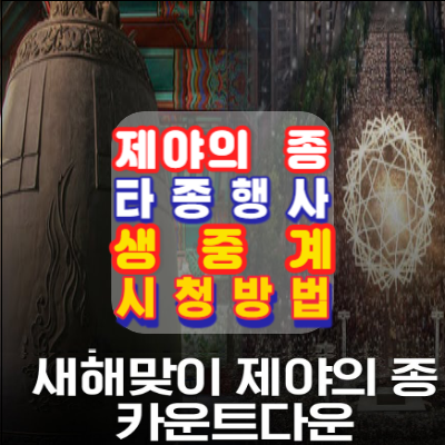 제야의종-타종행사-중계방송-실시간방송-라이브-자정의태양-새해맞이-카운트다운-행사-안내