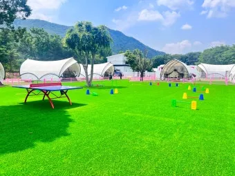 포천애견글램핑 포천 애견식당 당일치기 글램핑 해피캠핑 바베큐 바우어캠프 포천 완벽 체험_8