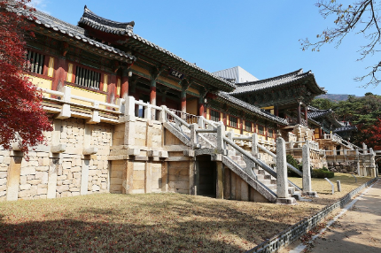 경주 보문단지 벚꽃 여행 가이드