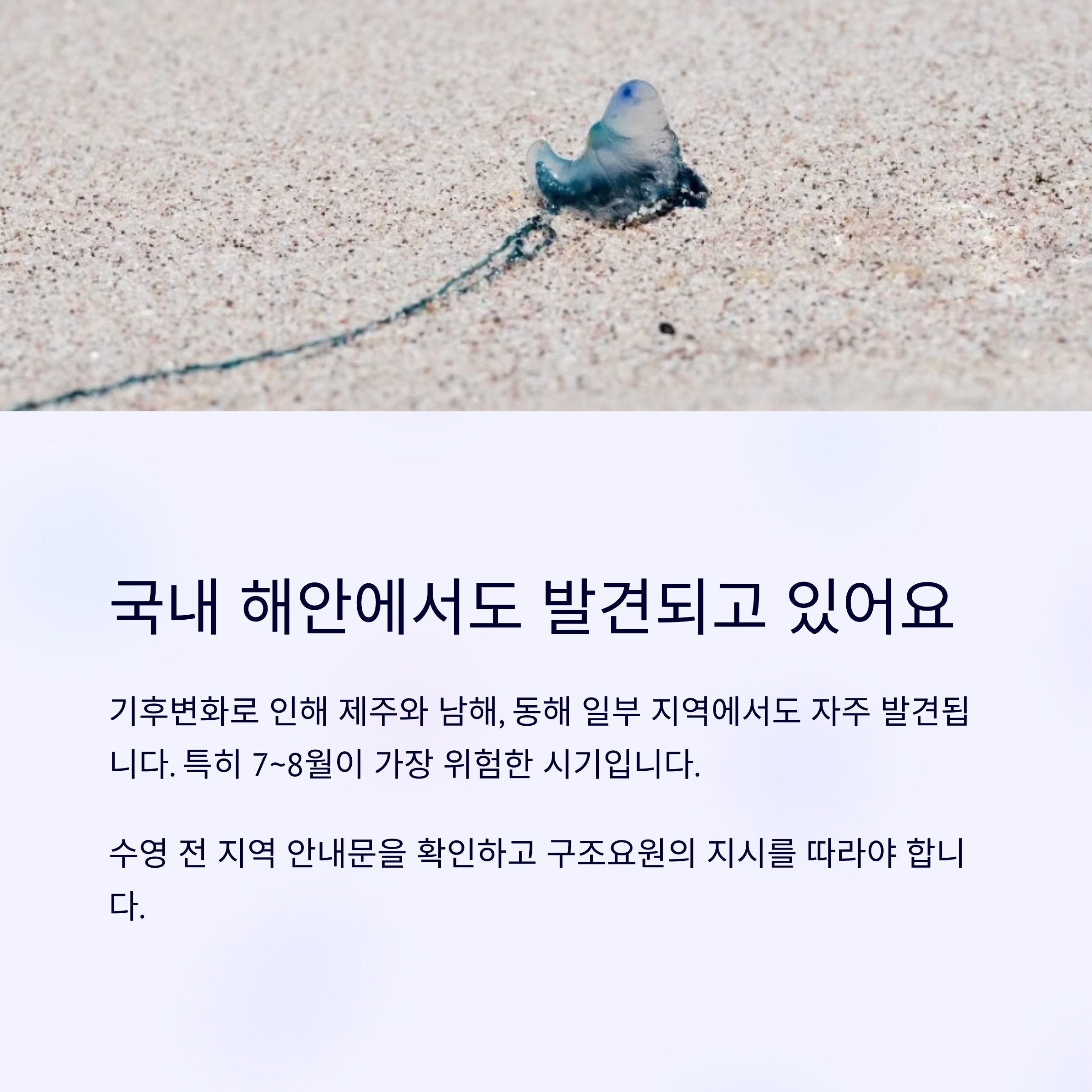 국내에서도 발견