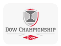 2025 LPGA 다우 챔피언십