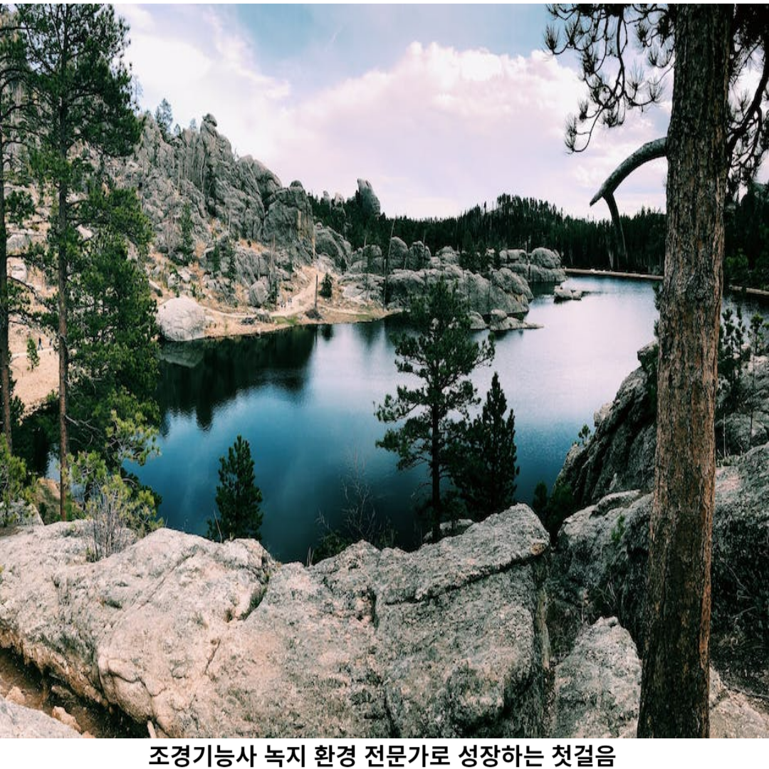 조경 분야에서의 성공을 향해