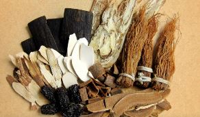 영지버섯 효능 부작용 먹는법