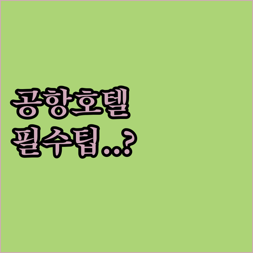 마드리드 공항 멜리아 바라하스 호텔 ..